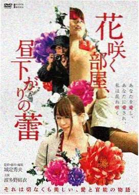 超新星